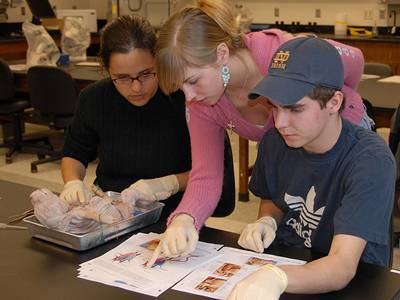 Du học Canada – Pre-Health Science - George Brown College